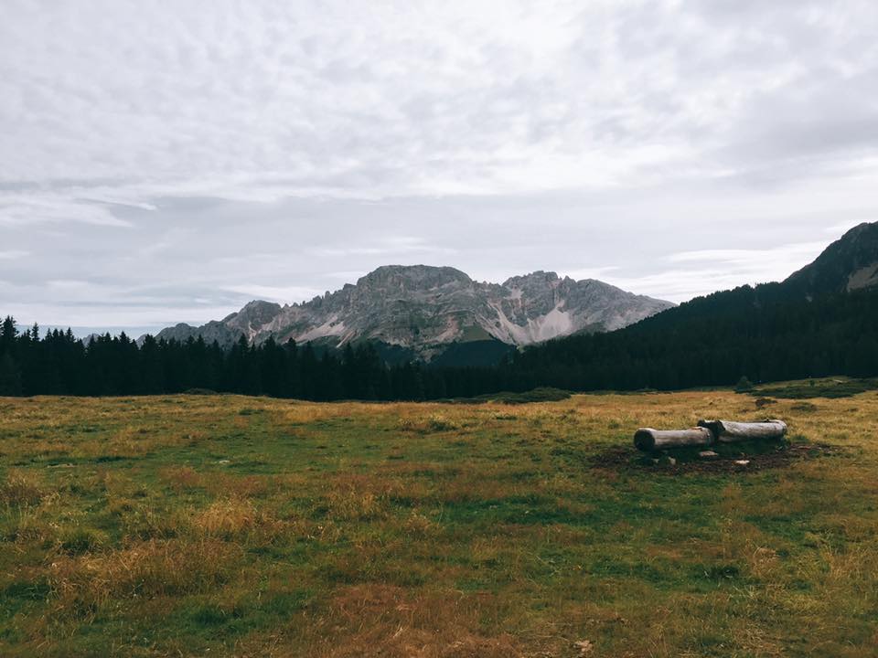 20294029_10211592377299758_4303921116784074554_n