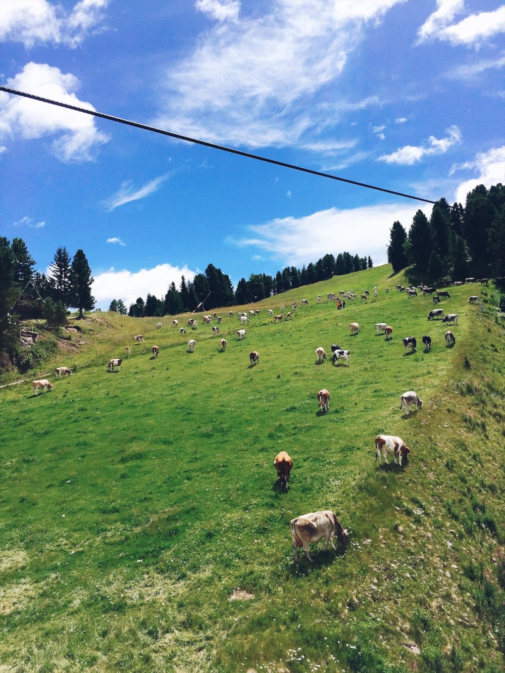 Processed with VSCO with a5 preset