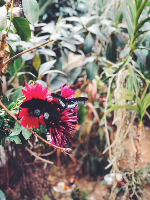 Processed with VSCO with f2 preset